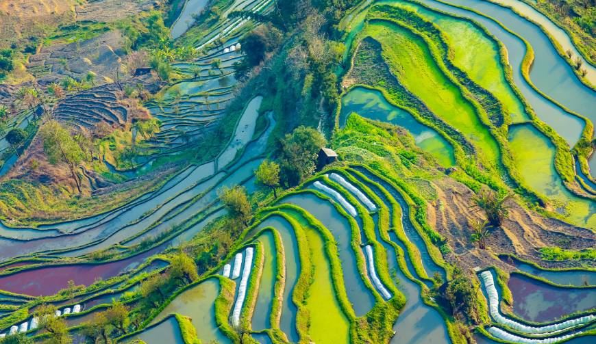宝妈必备神器：南澳县产品视频拍摄轻松育儿好帮手