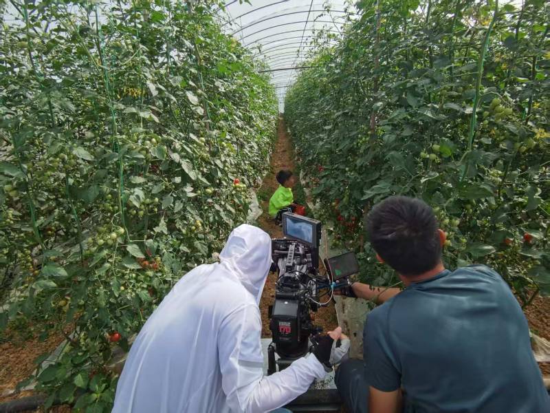 南澳县产品宣传视频拍摄公司进阶指南，助力品牌抢占传播高地